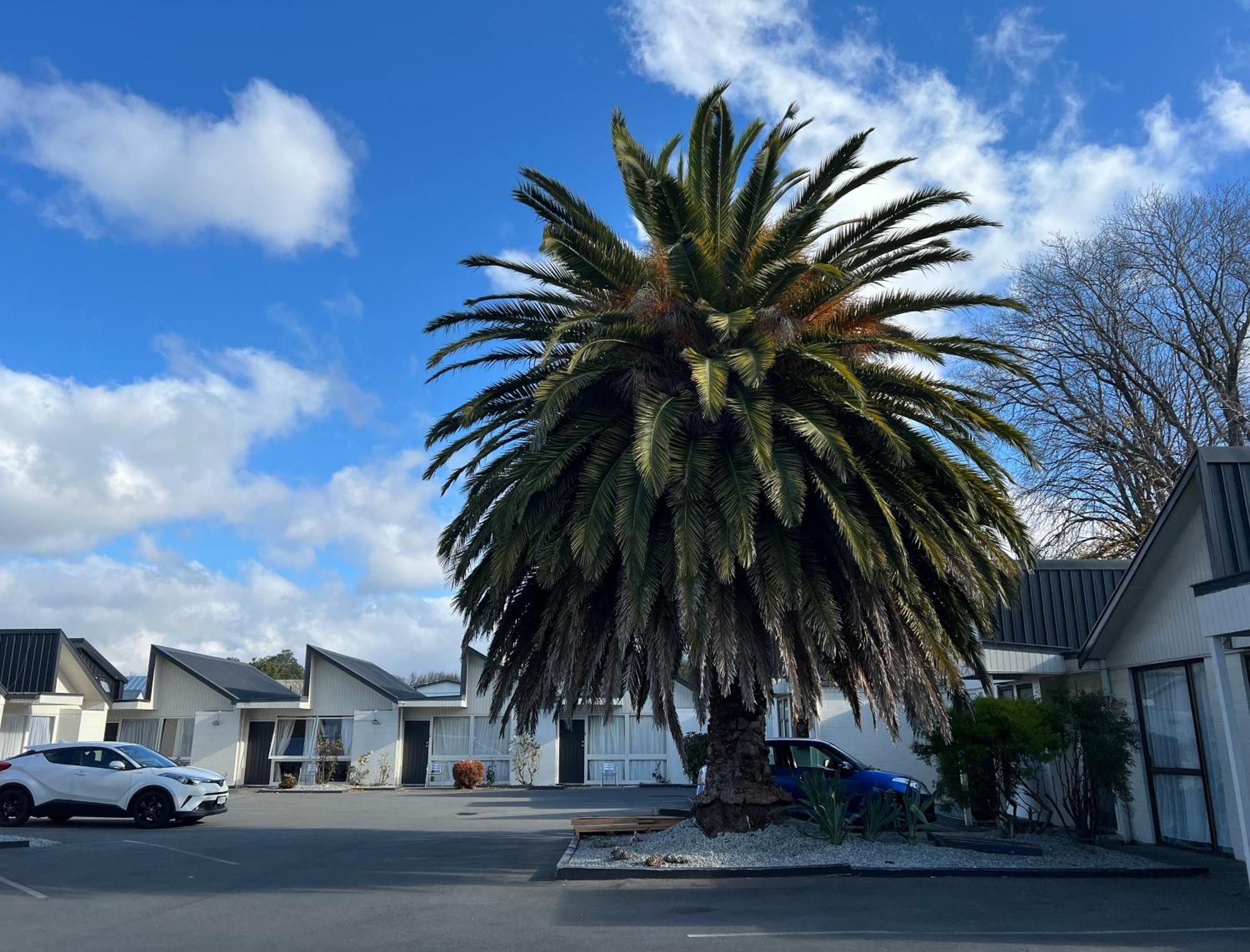Diplomat Motel Christchurch Bagian luar foto